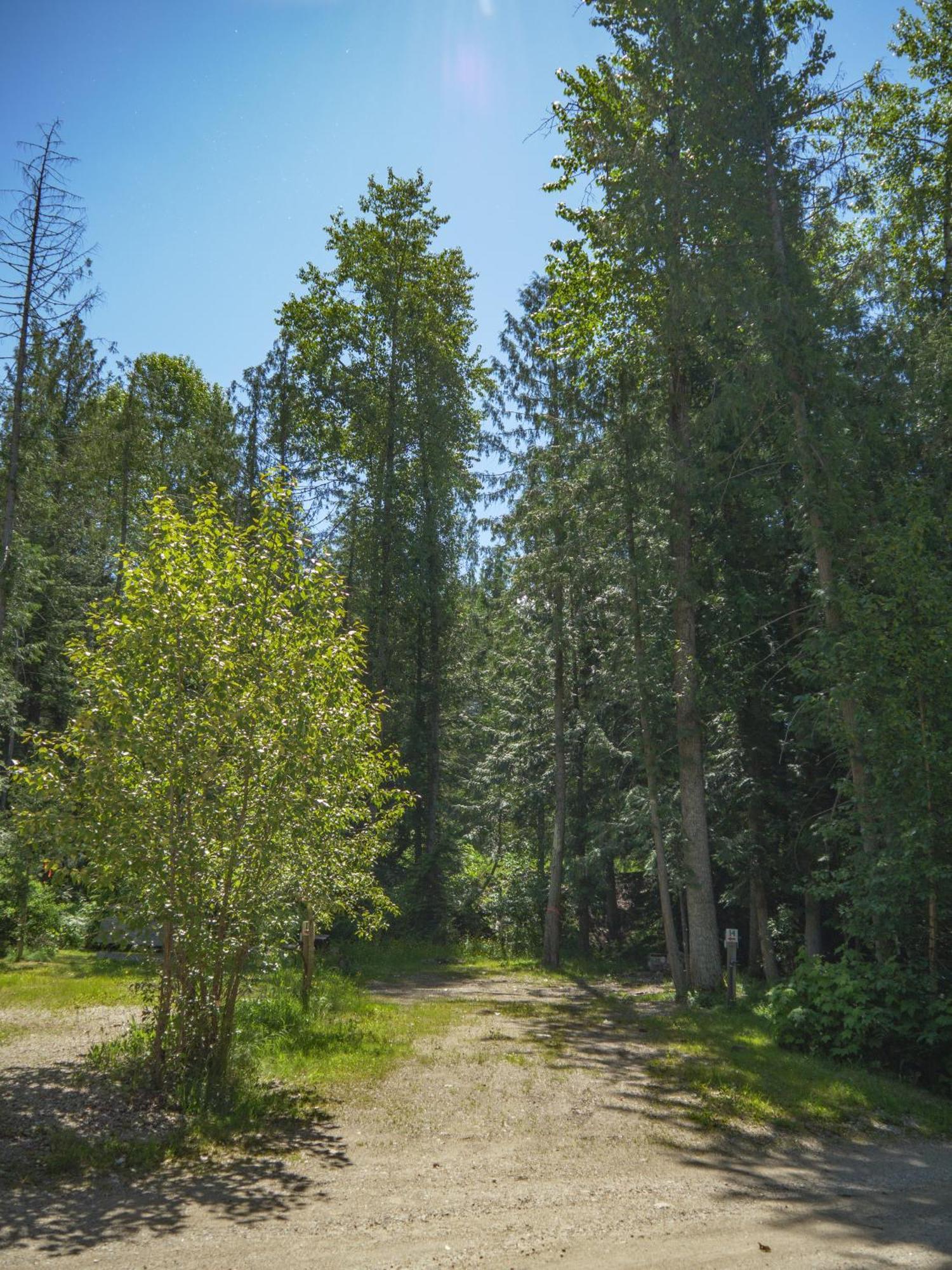 Noah'S Ark Campground Ревелсток Екстер'єр фото