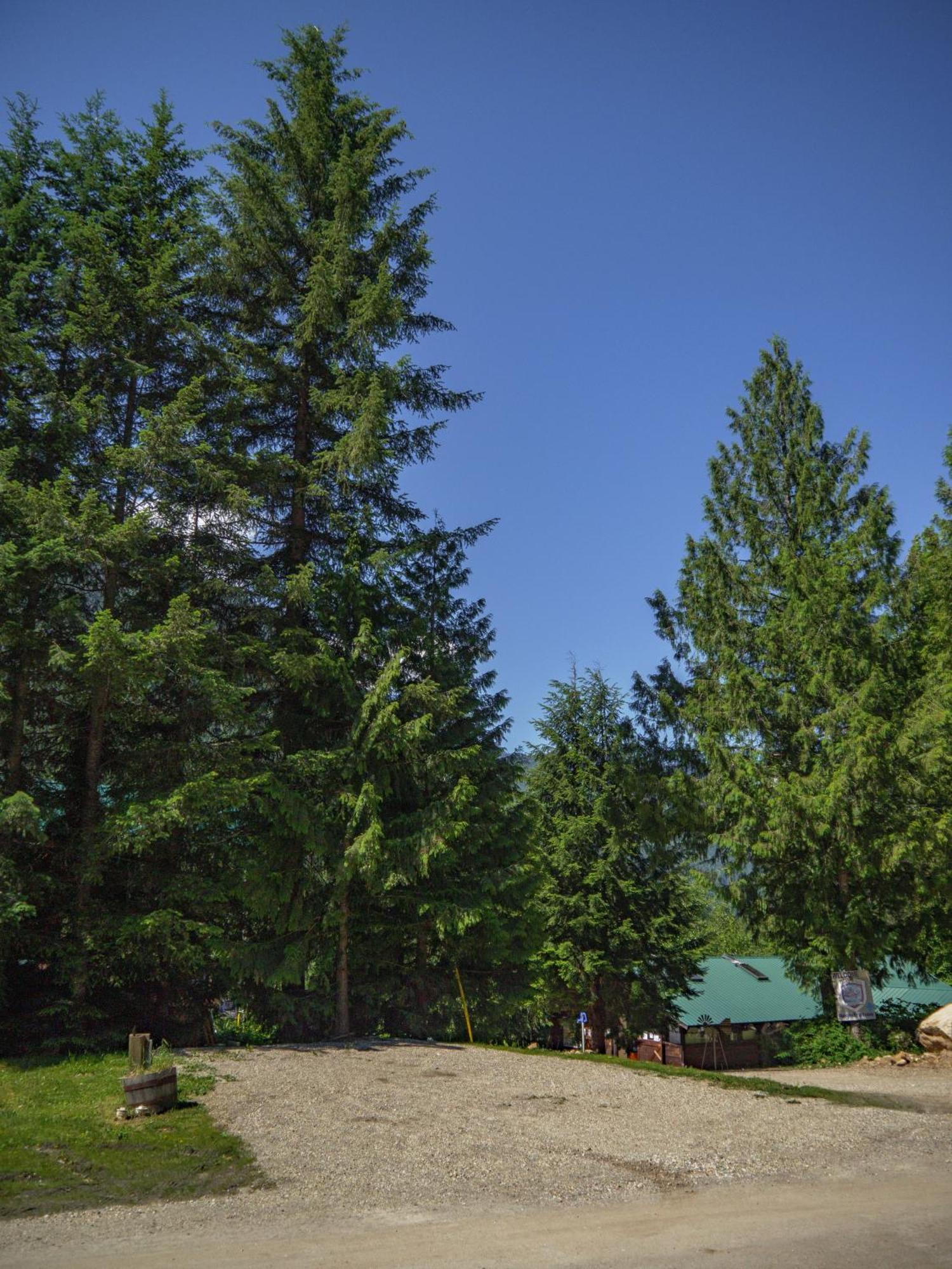Noah'S Ark Campground Ревелсток Екстер'єр фото